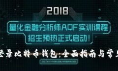 如何安全登录比特币钱包：全面指南与