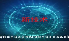 如何轻松申请点点钱包？详细申请条件