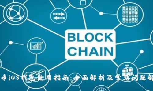 黑币iOS钱包使用指南:全面解析及常见问题解答