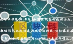 bias/biastpWallet丢失, 解决方案, 数字钱包