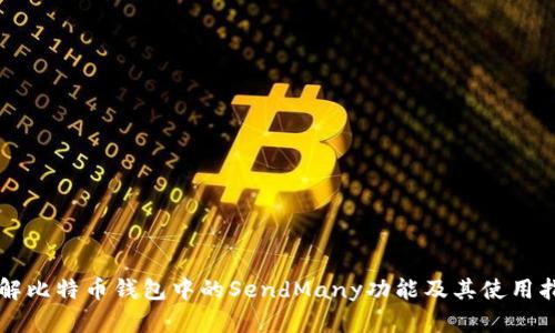 详解比特币钱包中的SendMany功能及其使用指南