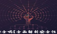 tpWallet安全吗？全面解析安全性与防盗