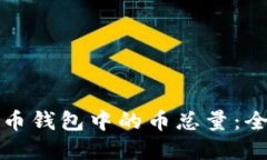 如何查看虚拟币钱包中的币总量：全面