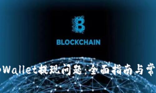 如何解决tpWallet提现问题:全面指南与常见问题解析