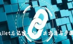 tpWallet忘记密码的解决方法与步骤详解