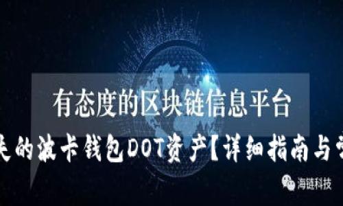 如何找回丢失的波卡钱包DOT资产?详细指南与常见问题解答