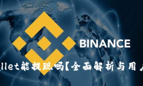 tpWallet能提现吗?全面解析与用户指南