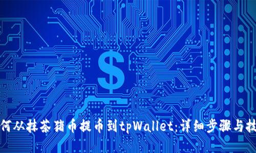 如何从抹茶猪币提币到tpWallet:详细步骤与技巧