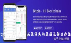 tpWallet合约币头像消失的原因及解决办