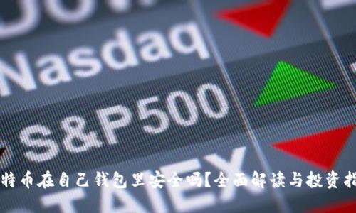 莱特币在自己钱包里安全吗?全面解读与投资指南