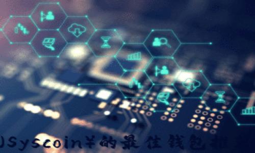 支持SYS币(Syscoin)的最佳钱包推荐与使用指南