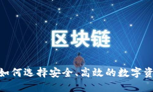 JST币钱包:如何选择安全、高效的数字资产管理工具