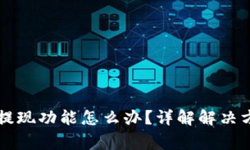 TPWallet没有提现功能怎么办?详解解决方案与常见问题