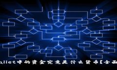 tpWallet中的资金究竟是什么货币？全面