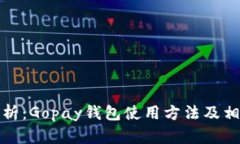 全面解析：Gopay钱包使用方法及相关技