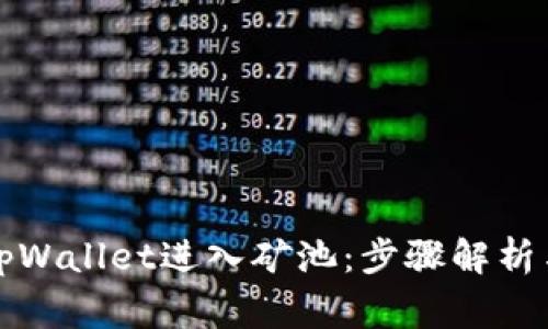 如何通过tpWallet进入矿池:步骤解析与注意事项
