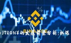 波场币（TRON）的发展前景分析：机遇
