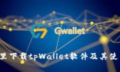  在哪里下载tpWallet软件及其使用指南