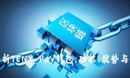 : 全面解析TENX Pay钱包:功能、优势与使用技巧