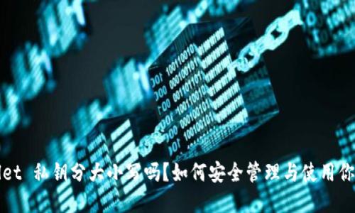tpWallet 私钥分大小写吗?如何安全管理与使用你的私钥