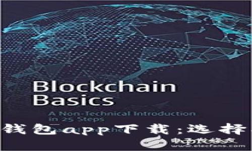 全面解析区块链钱包app下载:选择、使用与安全指南