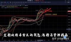 支持比特币分叉的钱包：选择与管理指
