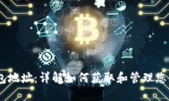 蚂蚁D3钱包地址：详解如何获取和管理