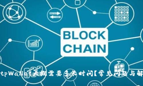 提币到tpWallet大概需要多长时间?常见问题与解决方案