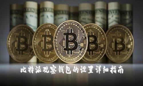 比特派观察钱包的设置详细指南