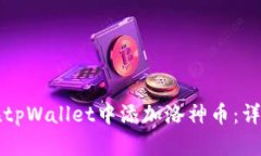 如何在tpWallet中添加洛神币：详细指南