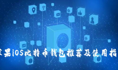 苹果iOS比特币钱包推荐及使用指南