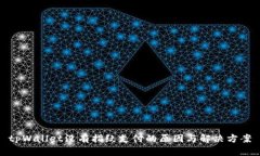 tpWallet没有指纹支付的原因与解决方案