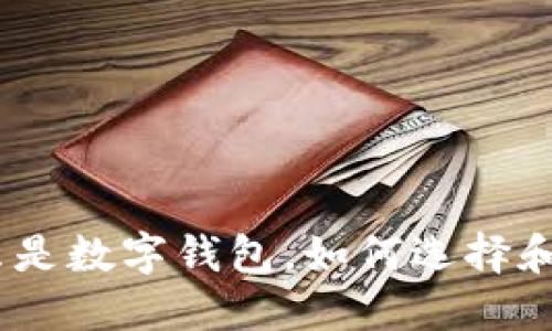 数字钱包的使用指南:什么是数字钱包,如何选择和使用最适合您的数字钱包