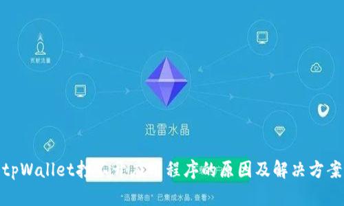 tpWallet打不开应用程序的原因及解决方案