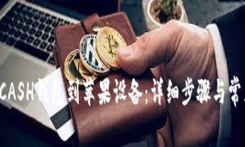 如何下载KCASH钱包到苹果设备:详细步骤与常见问题解答