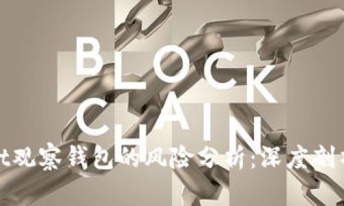 tpWallet观察钱包的风险分析:深度剖析与建议