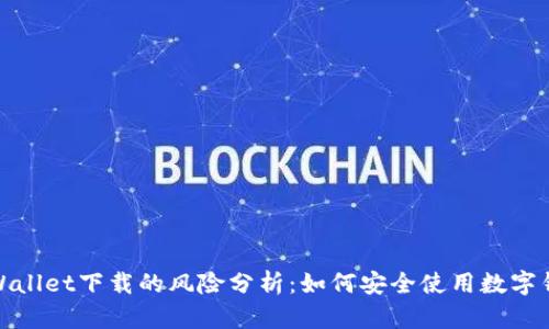tpWallet下载的风险分析：如何安全使用数字钱包