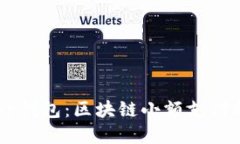 揭秘Seer钱包：区块链小额支付的新选