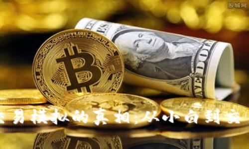 揭晓比特币钱包交易模拟的真相:从小白到交易大师的蜕变之路