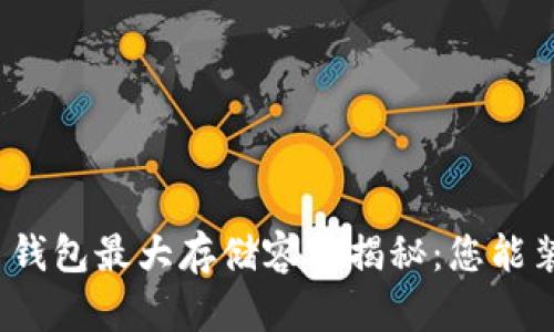 数字货币钱包最大存储容量揭秘:您能装多少钱?