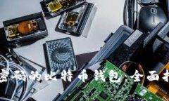 如何找回忘记密码的比特币钱包：全面