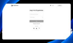 Ledger钱包支持中文：探索多语言界面与