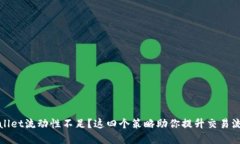 tpWallet流动性不足？这四个策略助你提