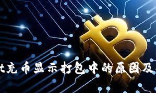 tpWallet充币显示打包中的原因及解决方法