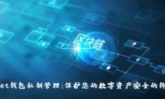 tpWallet钱包私钥管理：保护您的数字资