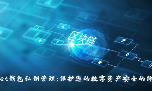 tpWallet钱包私钥管理:保护您的数字资产安全的终极指南