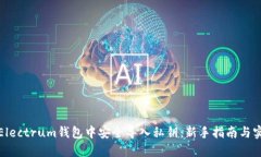 如何在Electrum钱包中安全导入私钥：新