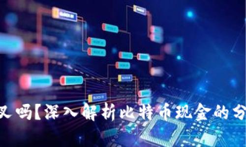 BCH放钱包会分叉吗?深入解析比特币现金的分叉机制与安全性