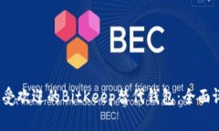 2023年最受欢迎的BitKeep替代钱包：全面