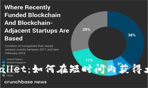 揭秘tpWallet:如何在短时间内获得大量代币?